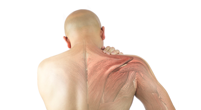 Understanding Shoulder Injury Compensation Lawyers in the UK -How to Claim Compensation In the UK